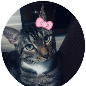 Meet your Posher, Roselyn